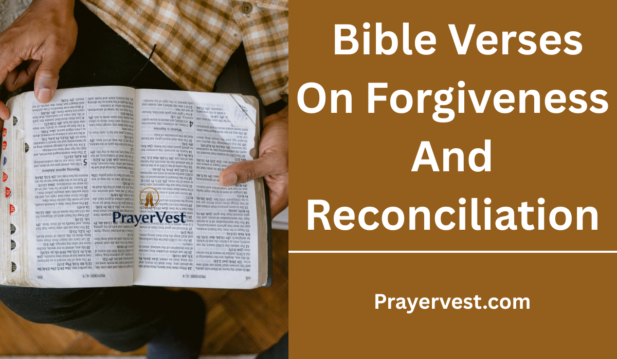  Bible Verses On Forgiveness And Reconciliation