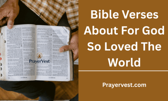 Bible Verses About For God So Loved The World