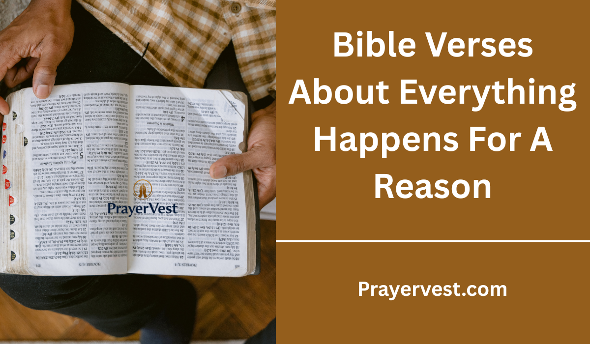 40 Uplifting Bible Verses About Everything Happens For A Reason