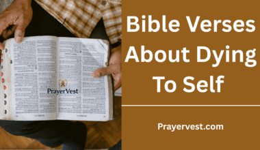 Bible Verses About Dying To Self