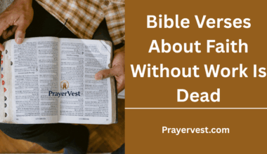 Bible Verses About Faith Without Work Is Dead