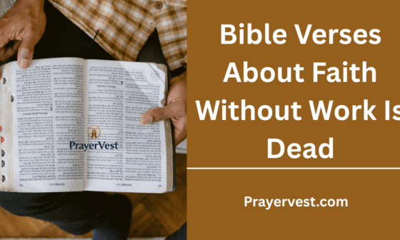Bible Verses About Faith Without Work Is Dead