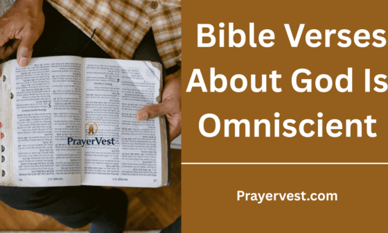 Bible Verses About God Is Omniscient