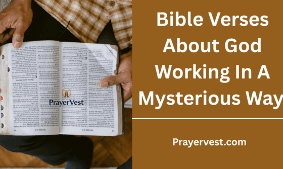 Bible Verses About God Working In A Mysterious Way