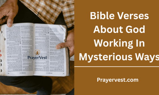 Bible Verses About God Working In Mysterious Ways