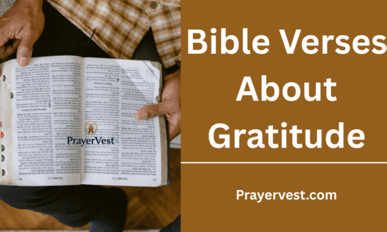 Bible Verses About Gratitude