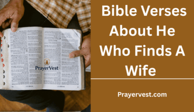 Bible Verses About He Who Finds A Wife