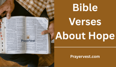 Bible Verses About Hope
