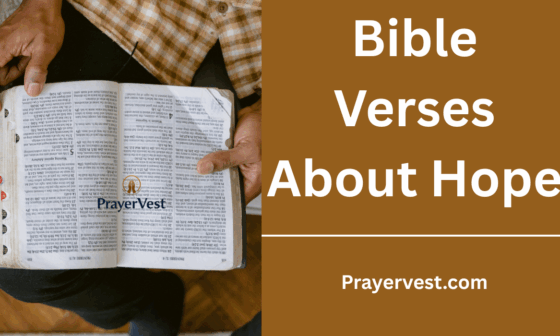 Bible Verses About Hope