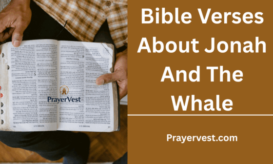 Bible Verses About Jonah And The Whale