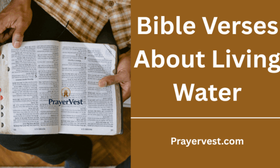 Bible Verses About Living Water