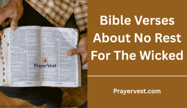 Bible Verses About No Rest For The Wicked