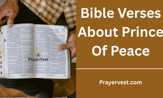 Bible Verses About Prince Of Peace