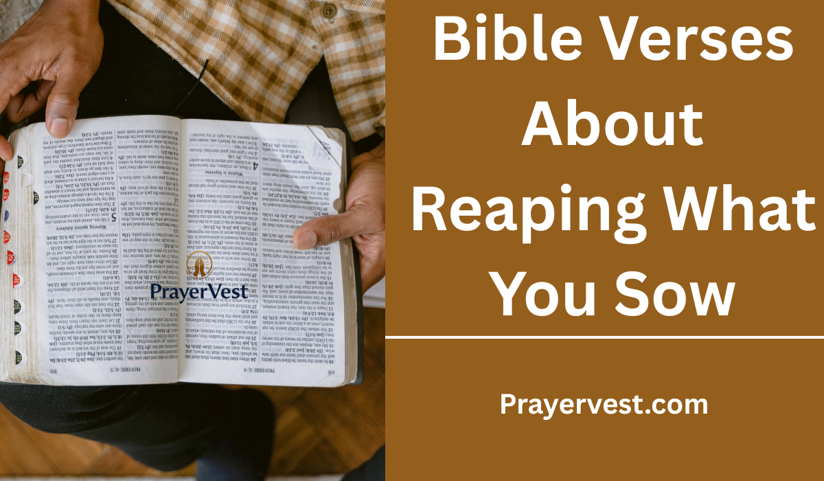 Bible Verses About Reaping What You Sow