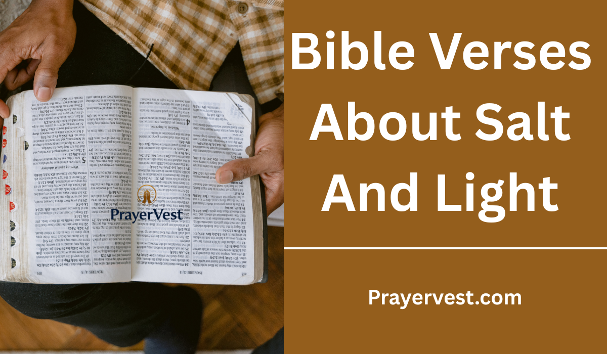 Bible Verses About Salt And Light
