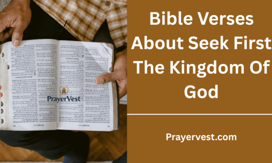 Bible Verses About Seek First The Kingdom Of God