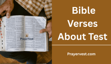 Bible Verses About Test