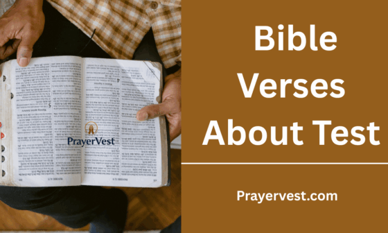Bible Verses About Test