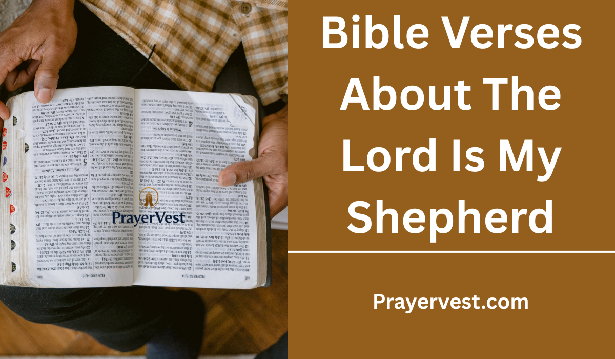 Bible Verses About The Lord Is My Shepherd