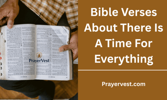 Bible Verses About There Is A Time For Everything