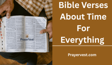 Bible Verses About Time For Everything