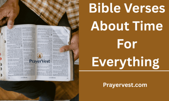 Bible Verses About Time For Everything