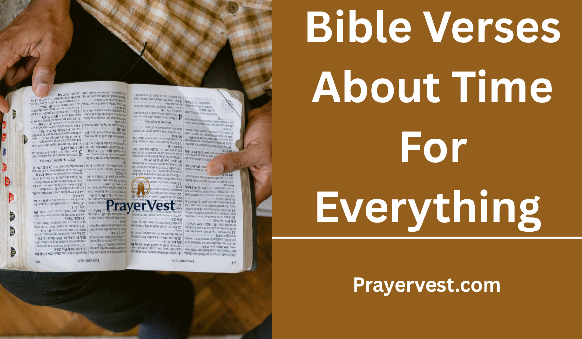 Bible Verses About Time For Everything 