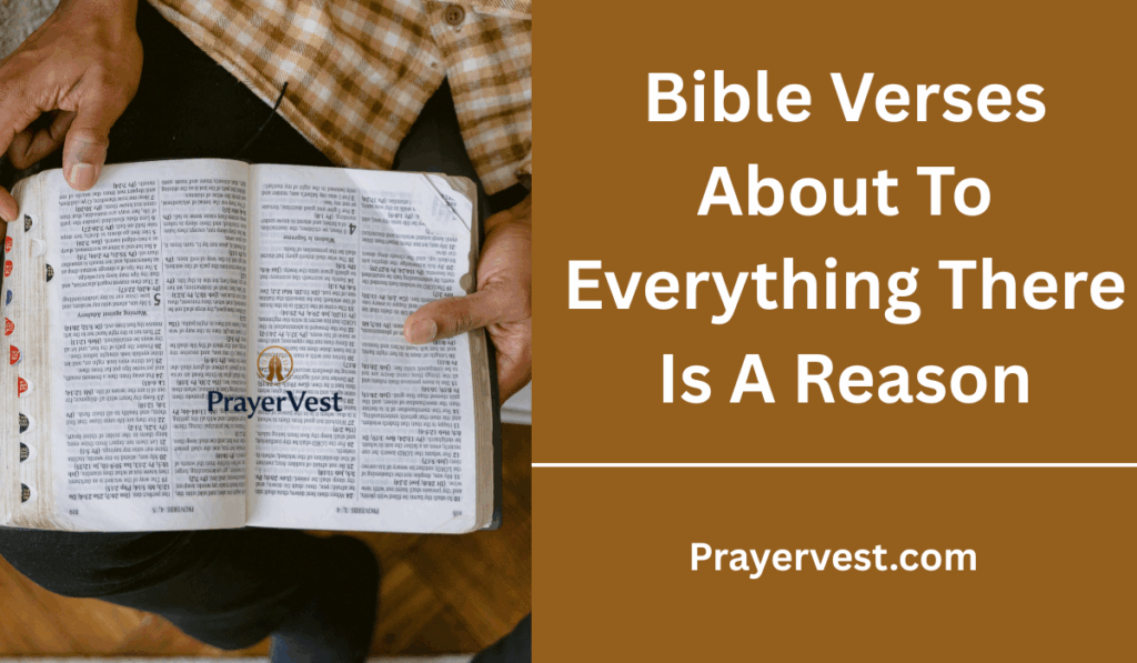 Bible Verses About To Everything There Is A Reason