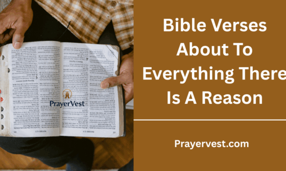 Bible Verses About To Everything There Is A Reason