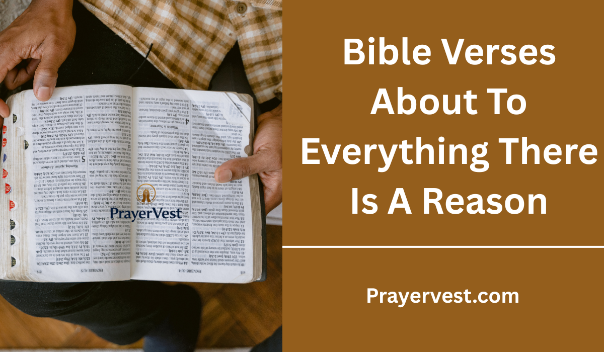 Bible Verses About To Everything There Is A Reason
