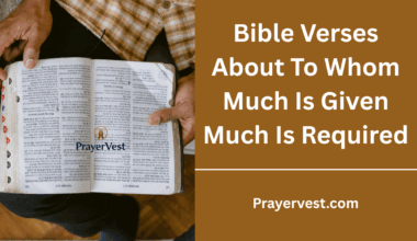 Bible Verses About To Whom Much Is Given Much Is Required