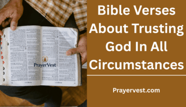 Bible Verses About Trusting God In All Circumstances