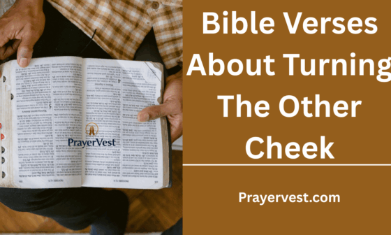Bible Verses About Turning The Other Cheek