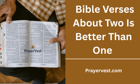 Bible Verses About Two Is Better Than One
