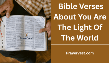 Bible Verses About You Are The Light Of The World
