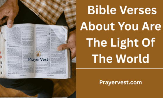Bible Verses About You Are The Light Of The World