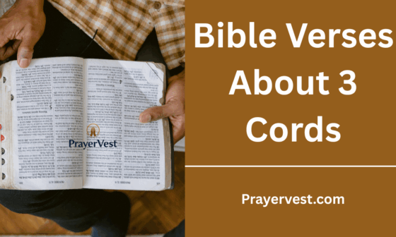 Bible Verses About 3 Cords