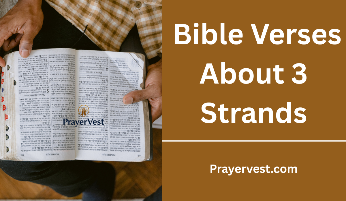 Bible Verses About 3 Strands