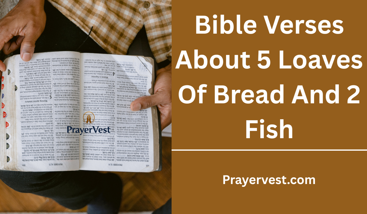 Bible Verses About 5 Loaves Of Bread And 2 Fish