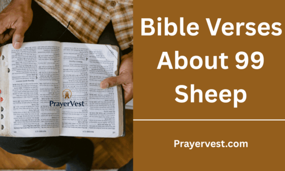 Bible Verses About 99 Sheep