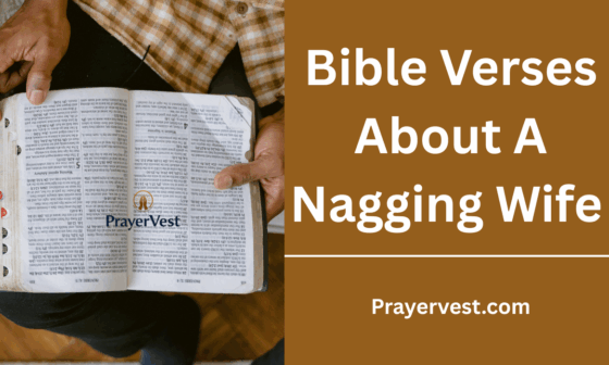 Bible Verses About A Nagging Wife