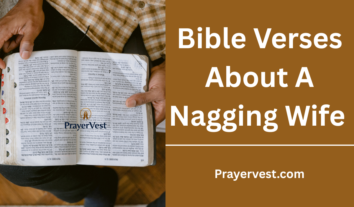 Bible Verses About A Nagging Wife 