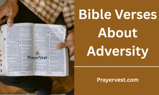 Bible Verses About Adversity