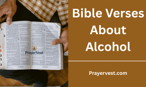 Bible Verses About Alcohol