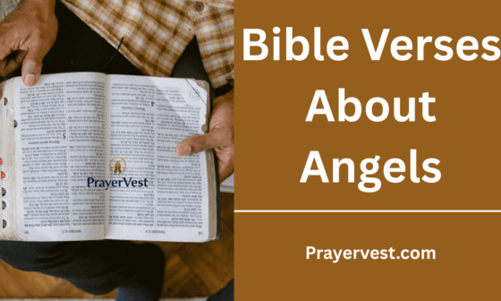 Bible Verses About Angels