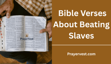 Bible Verses About Beating Slaves