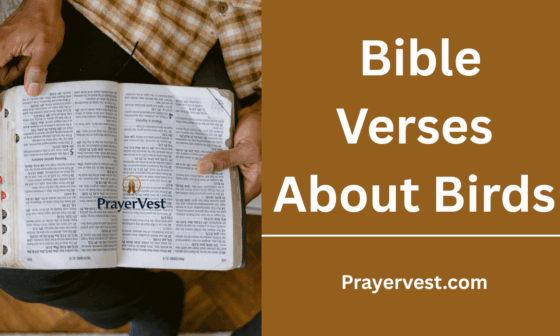 Bible Verses About Birds