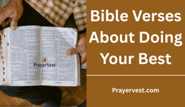 Bible Verses About Doing Your Best