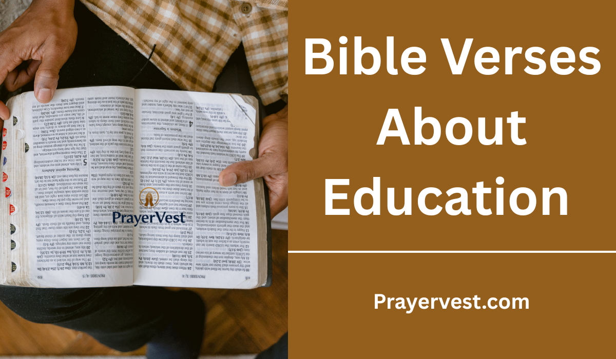Bible Verses About Education 