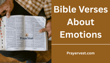 Bible Verses About Emotions